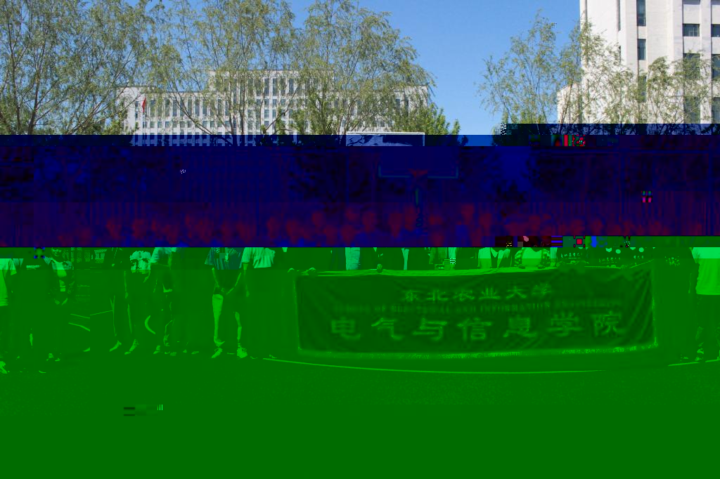 奪冠合影